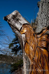 Wind Angel, wood carving