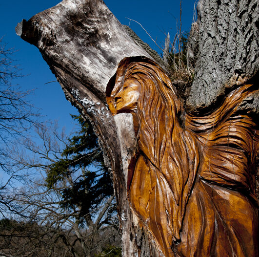 Wind Angel, wood carving