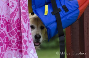 Bronte after her swim