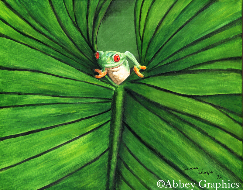 "A Grand Entrance" - Rain Forest Tree Frog