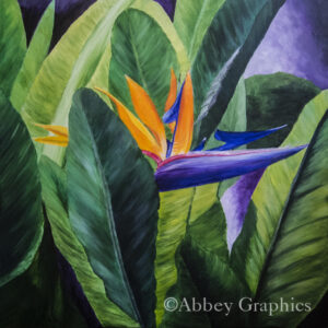 "Bird of Paradise" 24" x 24" Acrylic on Canvas.