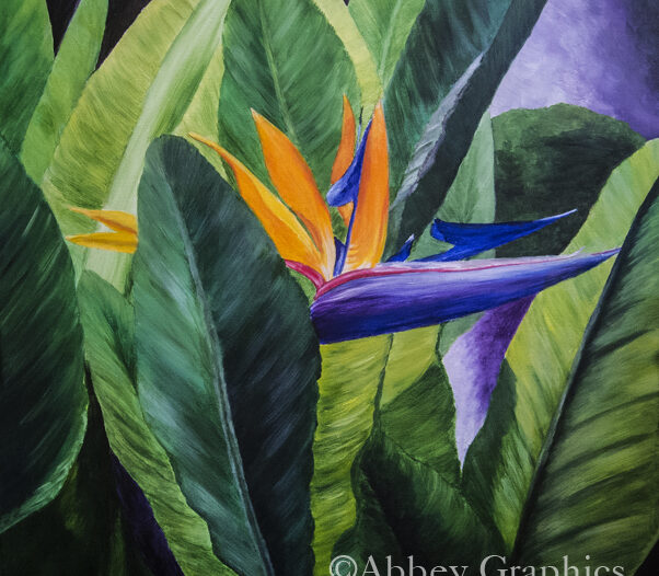 "Bird of Paradise" 24" x 24" Acrylic on Canvas.