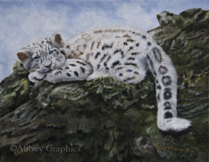 "Blue Eyes" - portrait of a baby snow leopard by Teresa Thompson 11" x 14" Acrylic