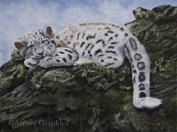 "Blue Eyes" - portrait of a baby snow leopard by Teresa Thompson 11" x 14" Acrylic