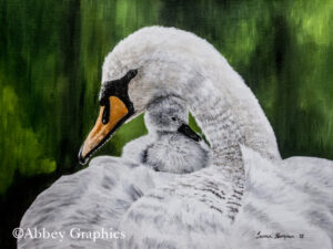 "Well Protected" - portrait of a mother mute swan and her signet