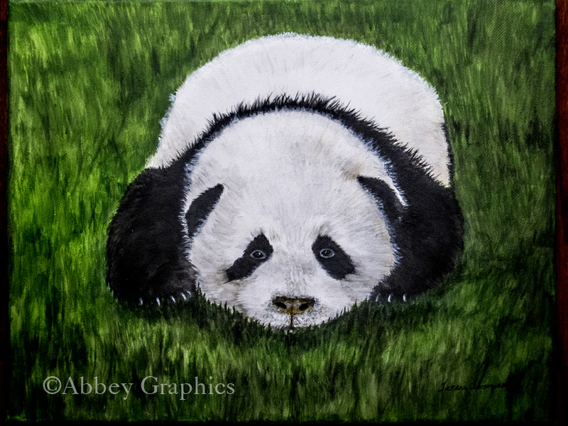 "Pooped Panda" - portrait of a baby panda by Teresa Thompson