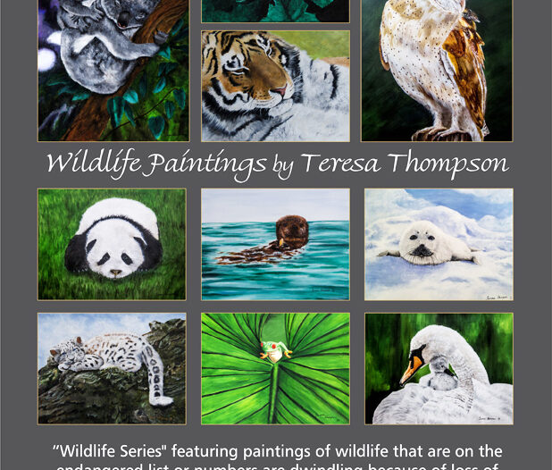 Wildlife Art by Teresa Thompson