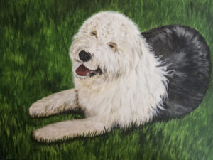 Acrylic Portrait of a Sheepdog