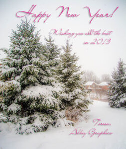 Happy New Year! Wishing you all the best in 2013