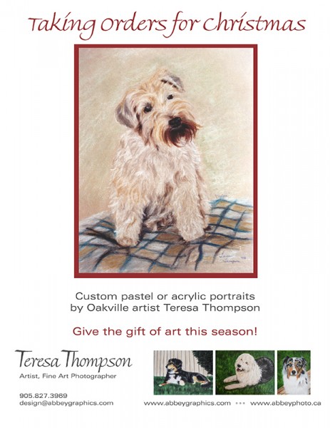 Custom Pet Portaits