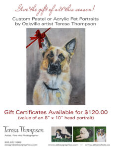 Gift Certificate for Custom Pet Portrait by Teresa Thompson