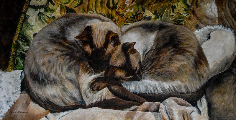"Brotherly Love by Teresa Thompson"