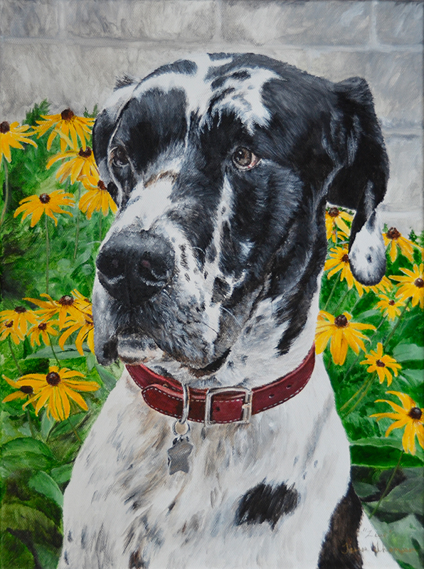 Zeus the Great Dane